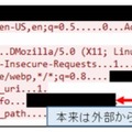 PoC に関連するアクセスの例（一部マスキングを実施）