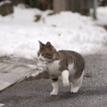 先週は突然の大雪インシデントで大変だったにゃー。日頃からインシデントに対応できるように心がけておかなきゃいけないにゃー