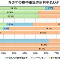 携帯電話の所有率および所有機種