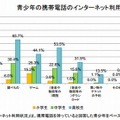 携帯電話のインターネット利用状況