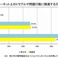 インターネット上のトラブルや問題行動に関連する行為の経験