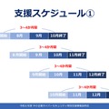 「令和 6 年度中小企業サイバーセキュリティ特別支援事業」実施スケジュール案