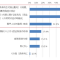 対策実施に向けての課題(n=511)