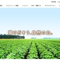 トップページ