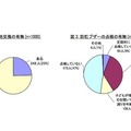 保護者に対するアンケート：電池交換の有無／防犯ブザーの点検の有無