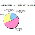 10年後の将来について不安を感じますか