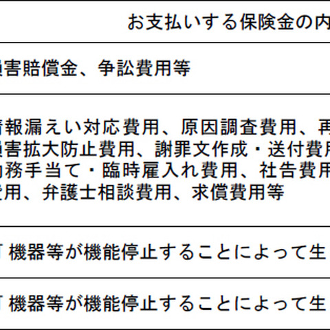 企業のサイバーセキュリティ対策を支援する包括的な「サイバー保険」を開始（損保ジャパン日本興亜） 画像