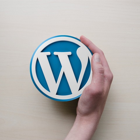 WordPress の All-in-One WP Migration and Backup プラグインにおける遠隔からの任意のコード実行につながるファイル検証不備の脆弱性（Scan Tech Report） 画像