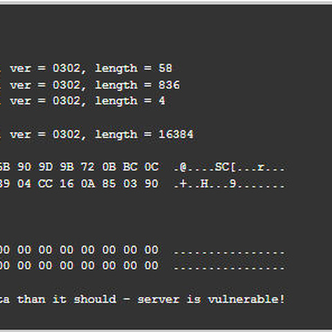 「OpenSSL」のHeartbleed脆弱性（CVE-2014-0160）を検証（GSX） 画像