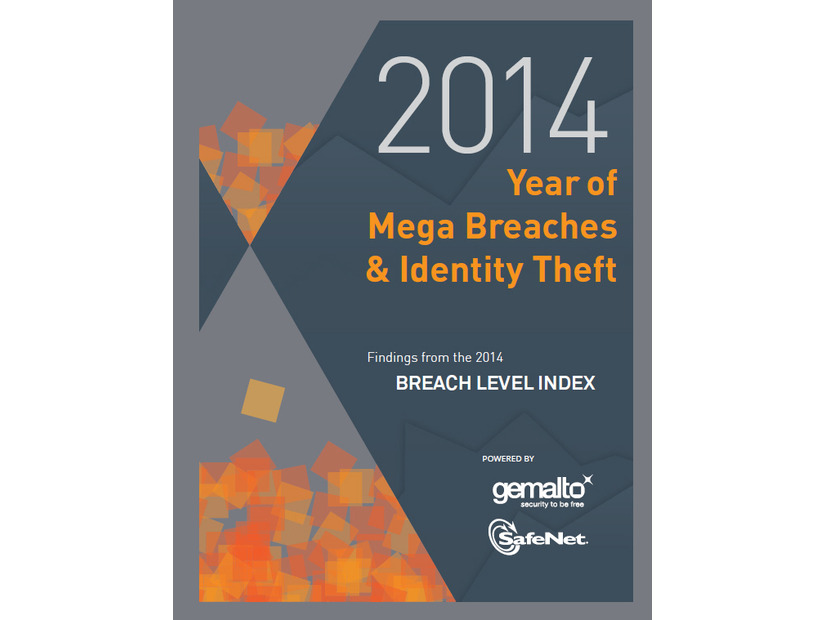 「SafeNet Breach Level Index（BLI）」