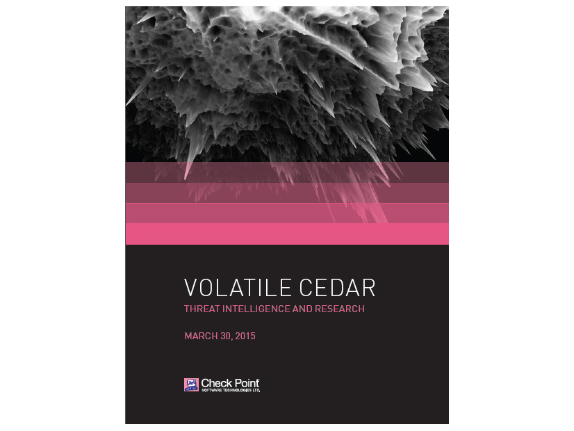 レポート「Volatile Cedar」