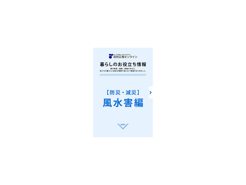 無料で提供されている政府広報アプリと電子書籍。写真は風水害編。地震・火山災害編も用意されている（画像はプレスリリースより）