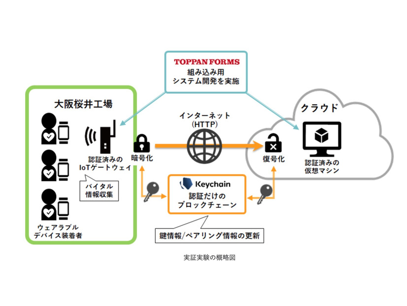 実証実験の概略図