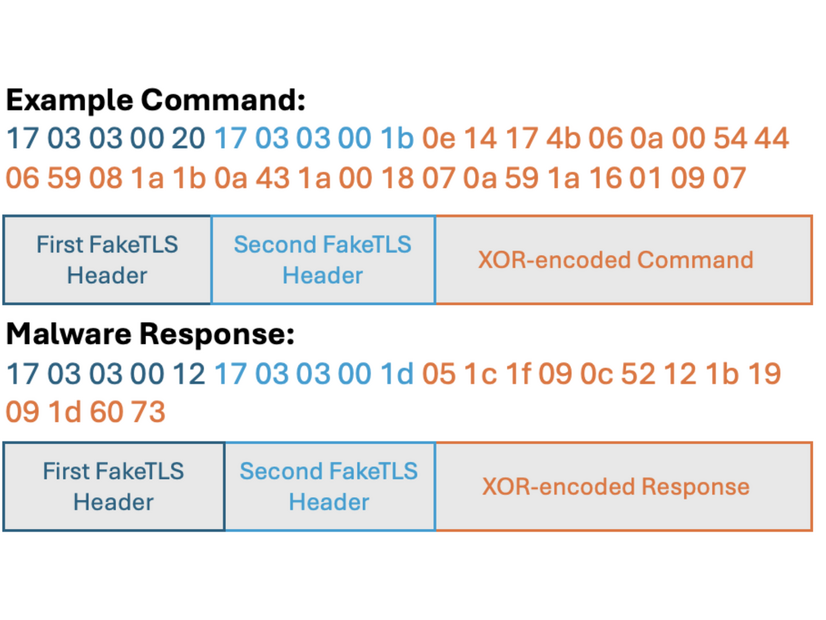 HealthKick TCP ソケット C2 通信