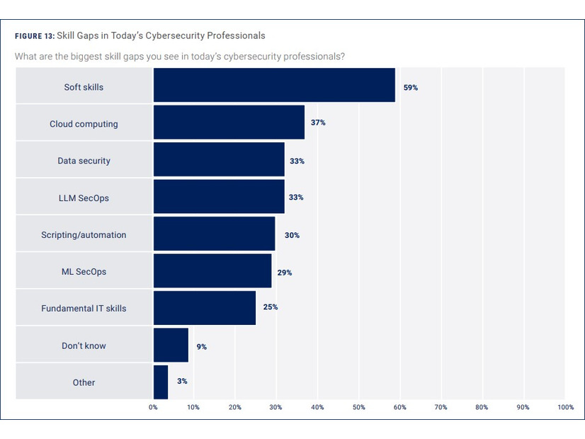 ギャップのあるセキュリティ従事者のスキル