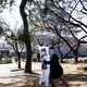ここが変だよ日本のセキュリティ 第12回「サイバー保険がやってきた！」 画像