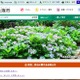 西淀川区役所にて生活保護費にかかる申請書類を紛失（大阪市） 画像