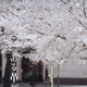 学習院大学「大学案内2024」掲載二次元コード、不正リンク先へ転送 画像