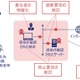 NRIセキュア、座学と演習「経営層向けサイバーセキュリティ研修」 画像