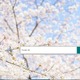 市の男性職員（40代）が住民記録システムを操作して元親族の個人情報を閲覧し懲戒処分に 画像
