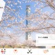 停職1ヶ月 ～ 市職員が飲食店関係者に関する市税等の情報を口外 画像