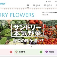 「＆Green」利用のメール配信システムでエラー、複数のメールが誤送信 画像