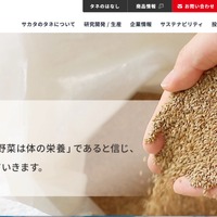 サカタのタネ ブラジル連結子会社にサイバー攻撃、一部情報が漏えいした可能性 画像