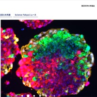 東京科学大学の情報基盤に不正アクセス、個人情報が漏えいした可能性 画像