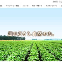 カルビーのプロ野球チップス関連サービス「PhotoGoods」で個人情報漏えいの可能性 画像
