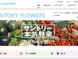 「＆Green」利用のメール配信システムでエラー、複数のメールが誤送信 画像