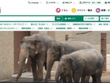 中学校教員 コインロッカーの鍵かけ忘れ 端末と鍵 盗難被害 画像