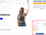 AeyeScan に手動巡回機能で任意のJavaScript を実行できる新機能 画像