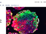 東京科学大学の情報基盤に不正アクセス、個人情報が漏えいした可能性 画像