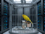 バグバウンティの破綻を防ぐ「カナリア」と自動検証メカニズム 画像